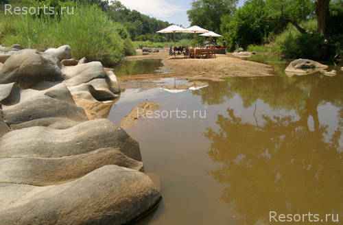 Makalali Private Game Lodge 6